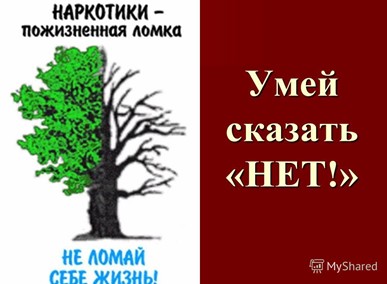 net narko23022022 2